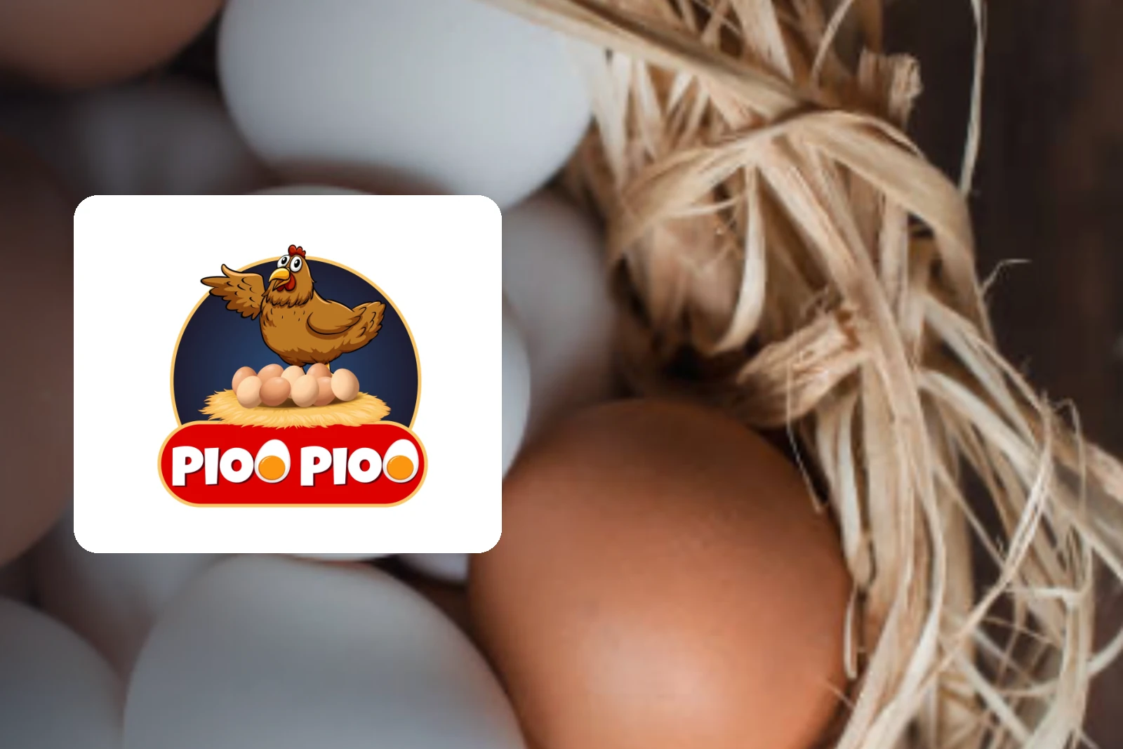 Pio Pio fresh eggs